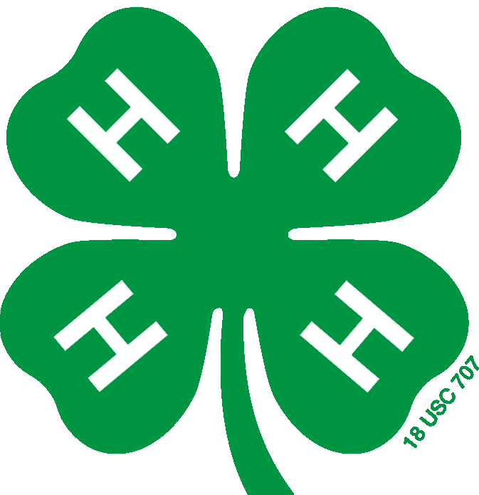 green 4-H clover