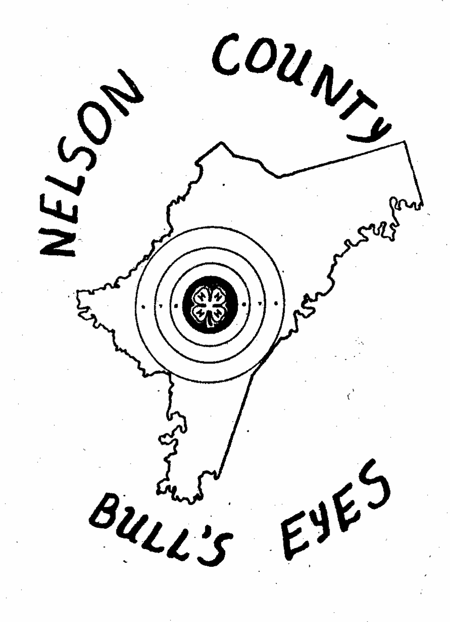 Shape of Nelson County with a target in the center